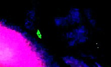 out of dis world orgasm on dildo