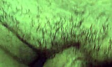 short video with the wife