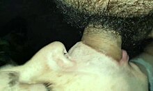 Another wild day pounding with my stud