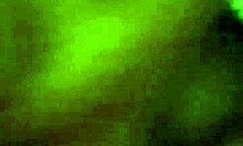 Xvideos amateur pussy licking compilation