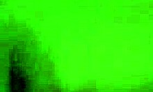 Brunette Sucks Dick Like A Pro