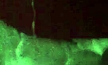 amateurs having a casual creampie session in their home