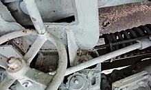 Intimate Webcam Session with Amateurs