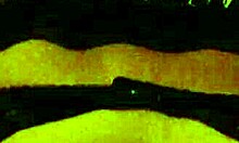 Mature milf's juicy ass dominated by a young stud