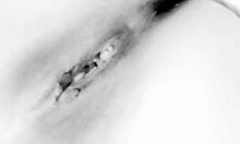 hey, let's fuck with these big natural tits and toys