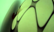 Mature Woman Uses Toys For Solo Pleasure