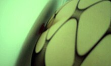 Mature Woman Uses Toys For Solo Pleasure