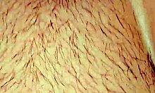 mrj finds a sloppy whore at a wild party. he pounds her tight ass hard after drinks.