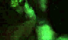 Big Tits Handjob On Monster Cock Leading To Cumshot Orgasm