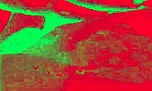 Caroleta Roots Caught By Grandson And Calls Him Over