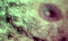 chupando e fodendo o pau do camelô com prazer