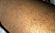 Ebony couple spits on big black cock 😜