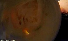 Hey, that BBW clown is fucking and getting all messy with food