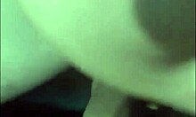 i'm a shy student craving wild fun