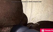 Princess Shayy creams her sexy pussy with dildo!