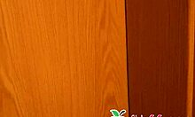 Sweet German Teen Thot Jessii Van Riva Enjoys Naughty Fuck Date!