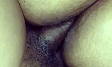 Intense Doggy Passion In Orlando