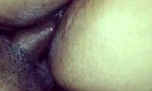 Intense Doggy Passion In Orlando