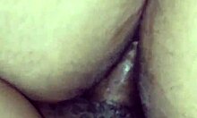 Intense Doggy Passion In Orlando