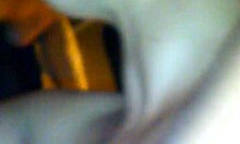 Hey, ever tried a Backpage hookup in Broward County?