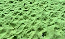 Did stepmother touch her cunt on the beach?