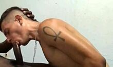 Gay guy sucks big black cock