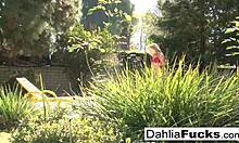 Solo toy playtime with dahlia sky feels so good, she moans.