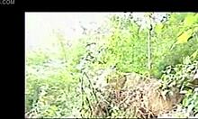 Intriguing Sight Of Naked Boys