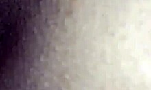 tempting shemale pussy begging to be eaten