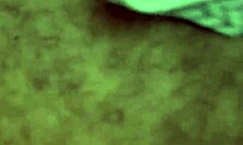 You want to see this macho riding bareback?