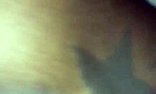 Juicy big ass twerks on thick cock