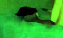 Redhead harlot seduces in uniform before intense encounter