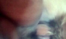 Pornjelly VIP sex with licking and doggystyle