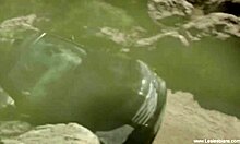 Blonde milf lesbians fucking with dildo!