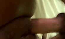 Eighteen-Year-Old Ebony Girl with Fat Ass Gets Fucked Anal in Hotel by Lana Pillow Princess