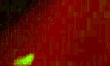 Kama Sutra For Lovers