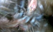 this young white thot sucks big black cock well