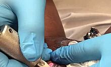 Tattoo Appointment With Latina