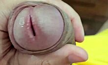 minha nova cueca amarela