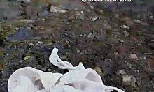 Brunette exhibitionist bathes in river naked