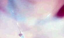 Beautiful teen shows her tight young pussy on camera