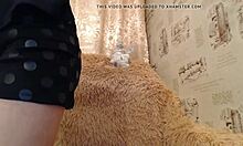 Oh wow, my perfect pussy twat is so hot!