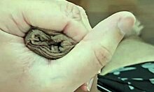 Big dick cumming nicely in homemade video