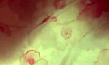 The Lovers Part One Explores Passionate Encounters