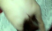 Latina brunette gets fucked doggystyle with big ass and chubby body