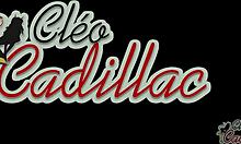 cleo cadillac gets buried in the kitchen