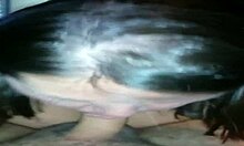 emotional blowjob fun with bbw friends