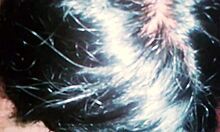 morena teaches blowjob to prostitute