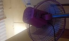 pequeña mujer culiona