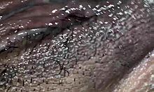 amateur couple shares homemade moments